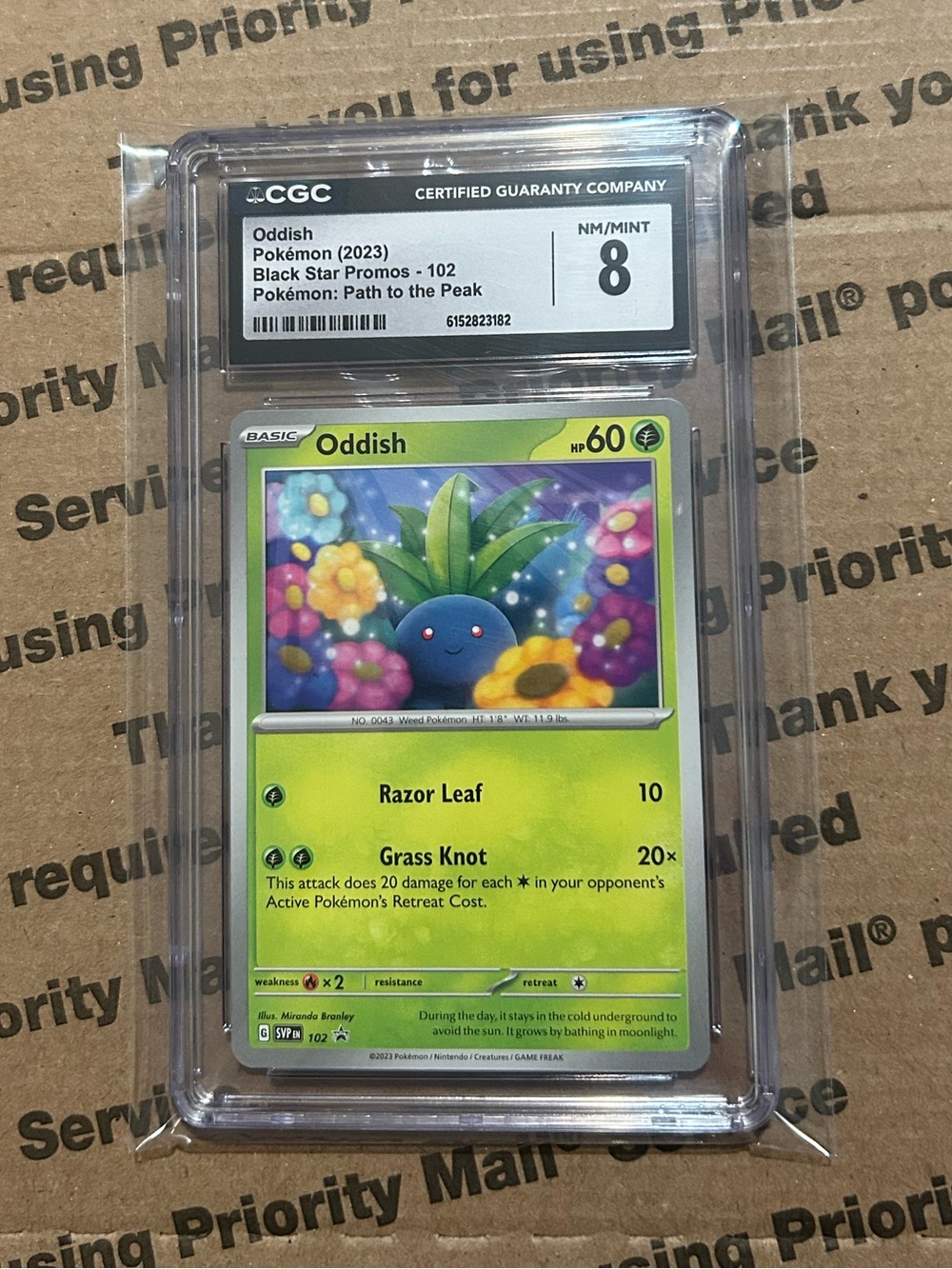 CGC 8 Oddish ‘23 Pokemon TCG Black Star Promos No. 102